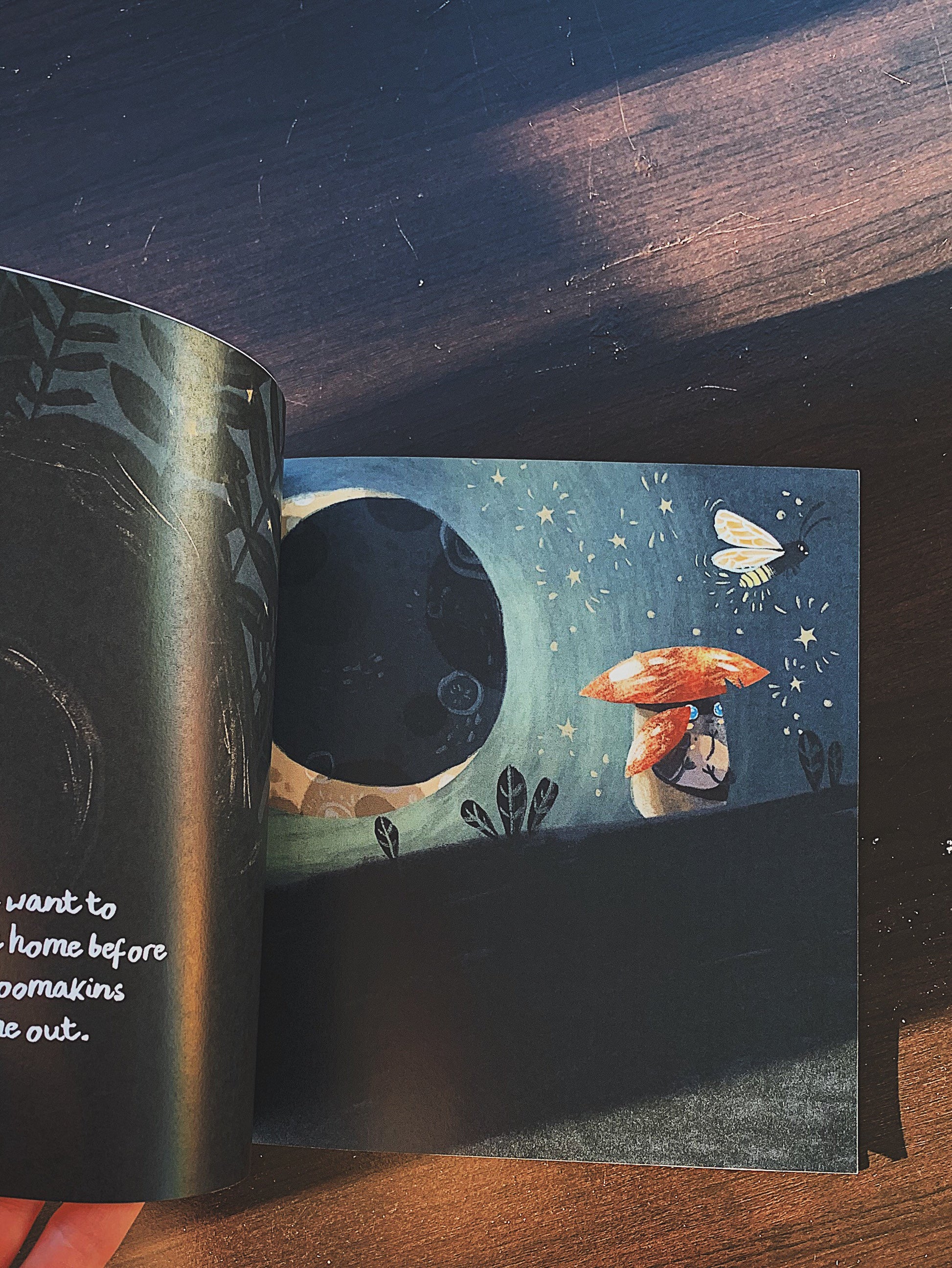 A Walk through Mushroom Town Picture Book