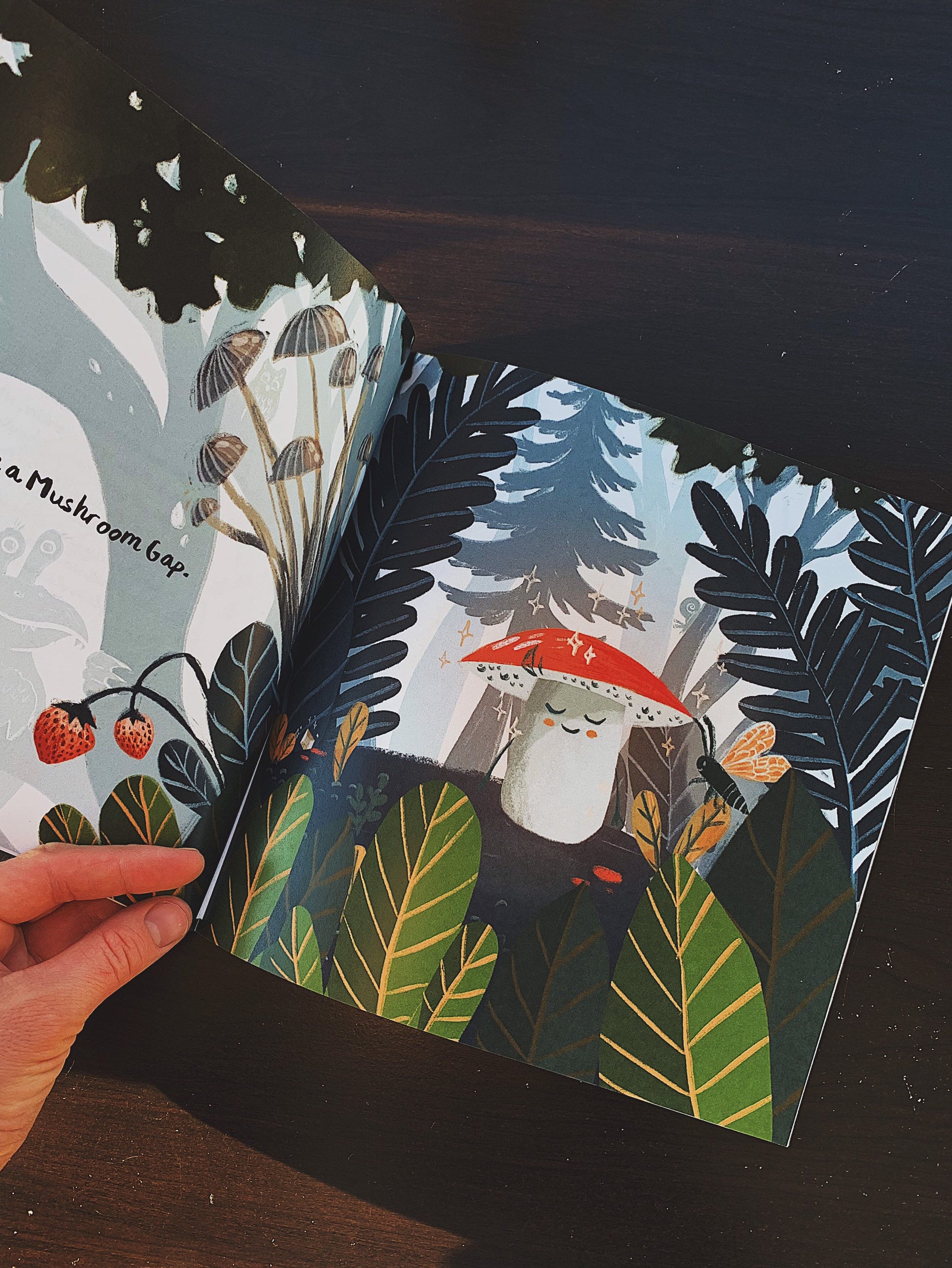 A Walk through Mushroom Town Picture Book