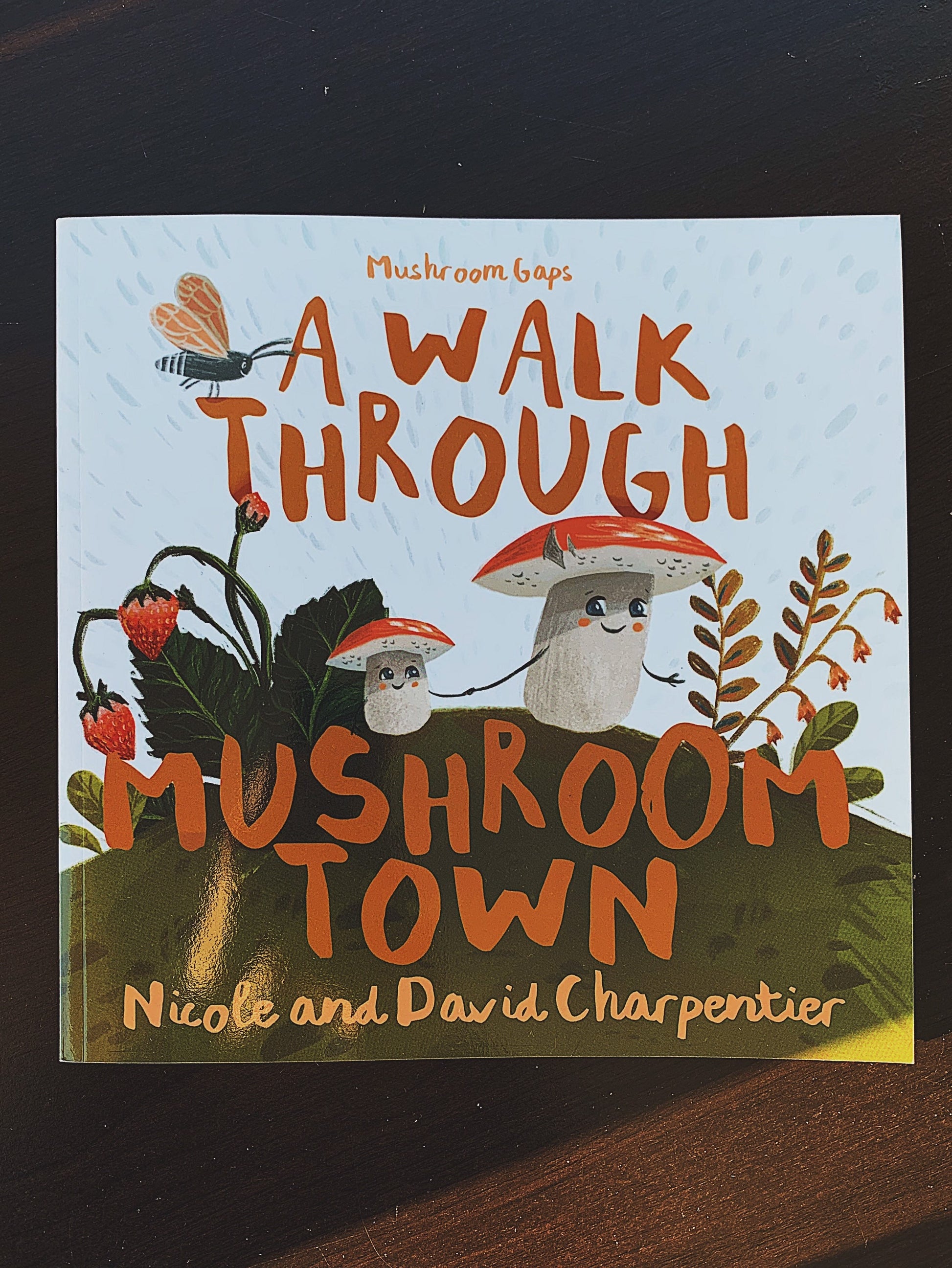 A Walk through Mushroom Town Picture Book